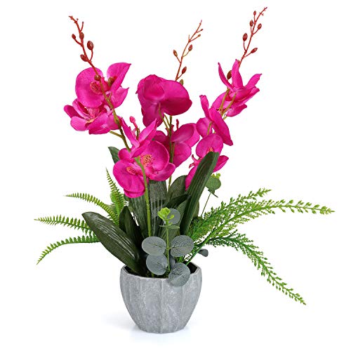 Product Cover YOBANSA Orchid Bonsai Artificial Flowers with Imitation Porcelain Flower Pots Phalaenopsis Fake Flowers Arrangements for Home Decoration(Rose Red)