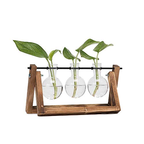 Product Cover HYINDOOR Desktop Plant Terrarium Glass Planter Bulb Vase with Retro Solid Wooden Stand and Metal Swivel Holder for Hydroponics Plants Home Garden Wedding Decor