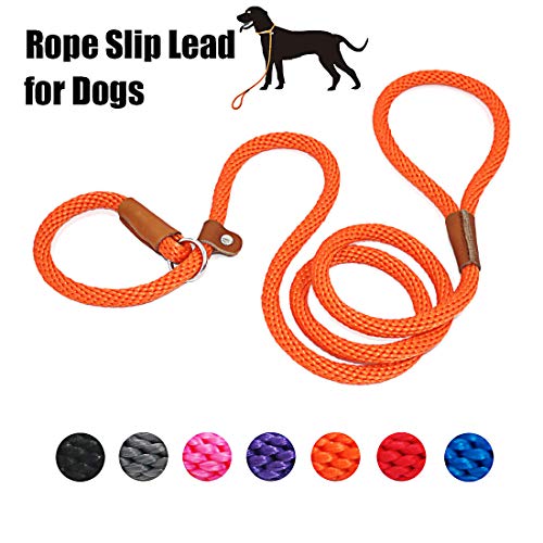 Product Cover lynxking Dog Leash Rope Slip Leads Strong Heavy Duty No Pull Training Lead Leashes for Medium Large Dogs (5', Orange)