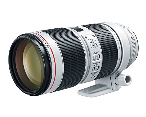 Product Cover Canon EF 70-200mm f/2.8L IS III USM Lens for Canon Digital SLR Cameras, White - 3044C002