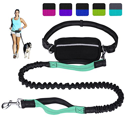 Product Cover Hands Free Dog Leash for Running Walking Training Hiking, Dual-Handle Reflective Bungee, Poop Bag Dispenser Pouch, Adjustable Waist Belt, Shock Absorbing, Ideal for Medium to Large Dogs (Black / Teal)
