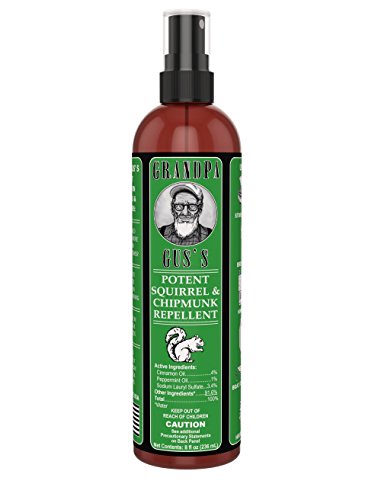 Product Cover Grandpa Gus's GCC-8-15 Potent Squirrel & Chipmunk Repellent, Water-Based Peppermint/Cinnamon Oil Mix Spray Protects Home, Garden and Wirings, Non-Toxic, Safe To Use Around Kids & Pets, 8oz Bottle