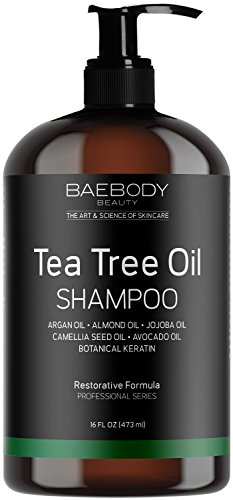 Product Cover Baebody Tea Tree Oil Shampoo for Dandruff, Dry Hair & Itchy Scalp, 16 Ounces