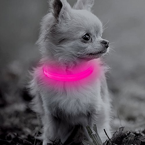 Product Cover BSEEN LED Dog Collar for Small Dogs& Cats, USB Rechargeable Glowing Pet Collar, XS Adjustable Nylon Reflective Light Up Collars for Night Dog Walking (XS, Pink)