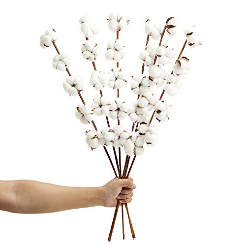 Product Cover VGIA 6 Pack 27 inch Cotton Stems Farmhouse Decor Rustic Style Vase Filler Floral Decoration Flower