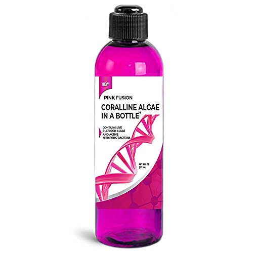 Product Cover Coralline Algae in a Bottle + Nitrifying Bacteria for Saltwater Aquariums, Pink Fusion Strain