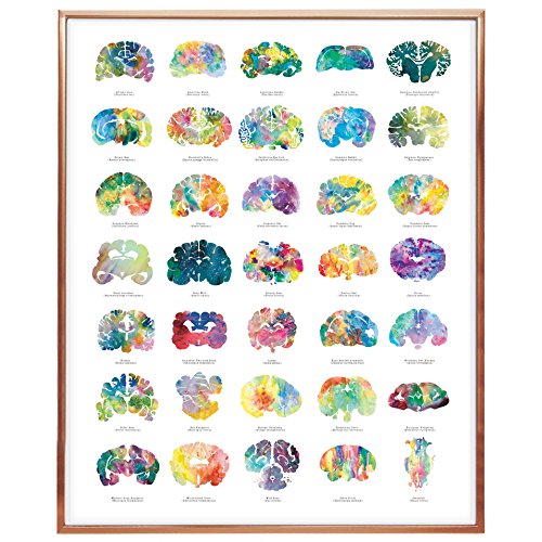 Product Cover J. Sayuri Brain Art Poster - 16