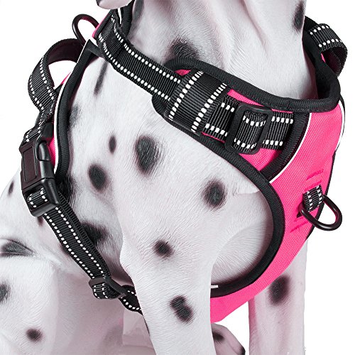 Product Cover PoyPet No Pull Dog Harness, Reflective Vest Harness with Front & Back 2 Leash Attachments and Easy Control Handle for Small Medium Large Dog (Pink, Small)