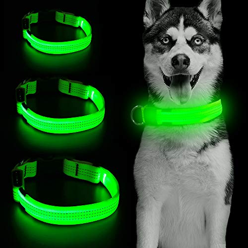 Product Cover Clan_X LED Dog Collar, USB Rechargeable Glowing Pet Collar, Light Up Safety Collars Keep Your Pets Visible & Safe (M, Green)