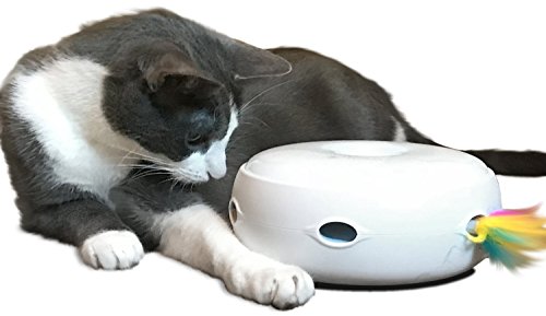 Product Cover PetFusion AMBUSH INTERACTIVE Cat Toy with electronic rotating feather. (Smart modes, nighttime light, batteries included)