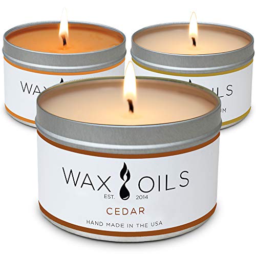 Product Cover Wax and Oils Soy Wax Aromatherapy Scented Candles (Cedar, Pumpkin, Black Amber Plum) 8 Ounces. 3 Pack