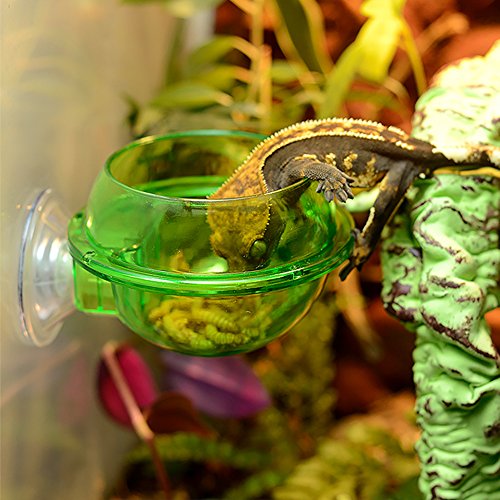 Product Cover EONMIR Suction Cup Feeder, Reptiles Ledge Accessories Supplies for Gecko, Chameleon