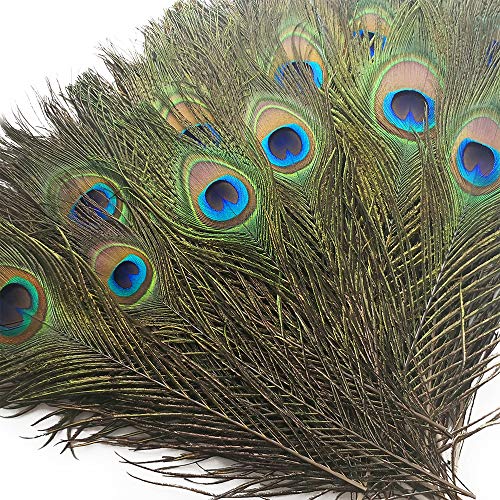 Product Cover Piokio Real Natural Peacock Feathers 10