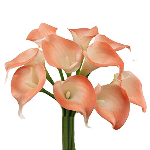 Product Cover Angel Isabella 10pc Set of Real Touch Calla Lily-Keepsake Artificial Calla Lily with Small Bloom Perfect for Making Bouquet, Boutonniere,Corsage.Quality Keepsake Artificial Flower (Coral Reef Trim)