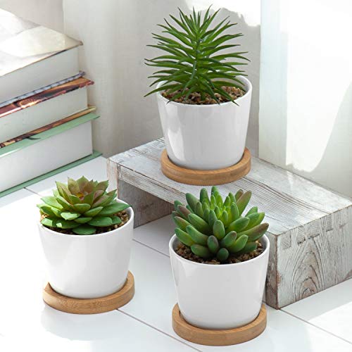 Product Cover MyGift Mini Artificial Succulent Plants in White Ceramic Pots with Bamboo Saucers, Set of 3 (Assortment 4)