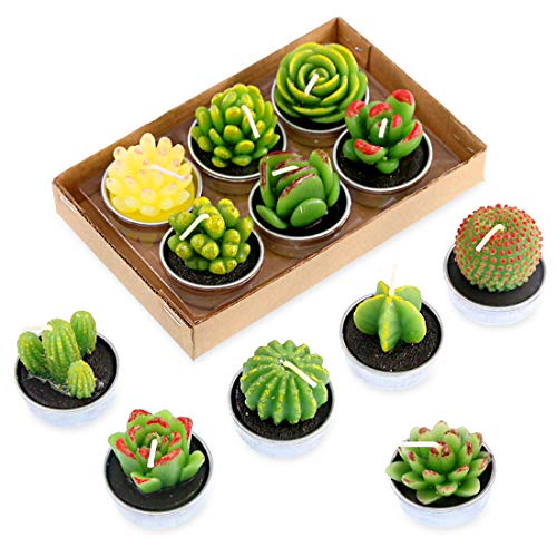 Product Cover Swpeet 12Pcs Decorative Succulent Cactus Tealight Candles Kit, Cute Smokeless Succulent Plants Perfect for Candles Festival Wedding Props and House-Warming Party