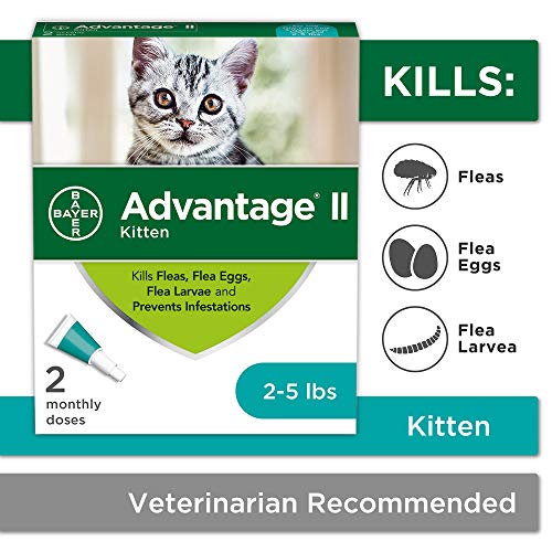 Product Cover Flea Prevention for Kittens, 2-5 lb, 2 doses, Advantage II