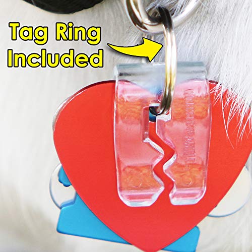 Product Cover SilenTags Pet Tag Silencer Clip It On, Jingle's Gone! -Clear