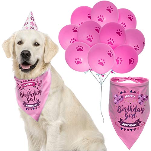 Product Cover ZOOniq Dog Birthday Girl Bandana with Paw Print Party Cone Hat and 10 Balloons - Great Dog Birthday Outfit and Decoration Set - Perfect Dog or Puppy Birthday Gift