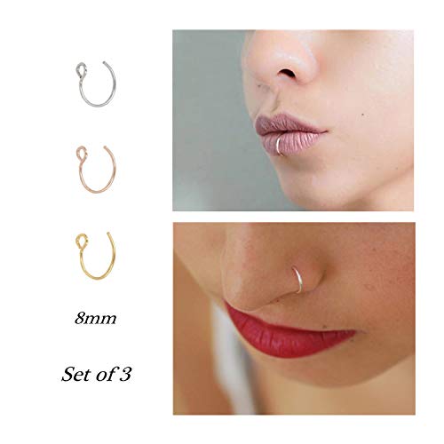 Product Cover Fake Nose Ring Hoop Nose Rings Set Nose Piercing Lip Nose Rings Jewelry for Women Men Girl Gold,Rose Gold,Silver