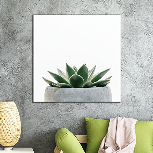 Product Cover wall26 - Square Canvas Wall Art - Green Succulent Plant in The Pot with White Background - Giclee Print Gallery Wrap Modern Home Decor Ready to Hang - 24x24 inches