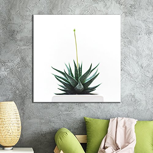 Product Cover wall26 - Square Canvas Wall Art - Green Succulent Plant in The Pot with White Background - Giclee Print Gallery Wrap Modern Home Decor Ready to Hang - 24x24 inches