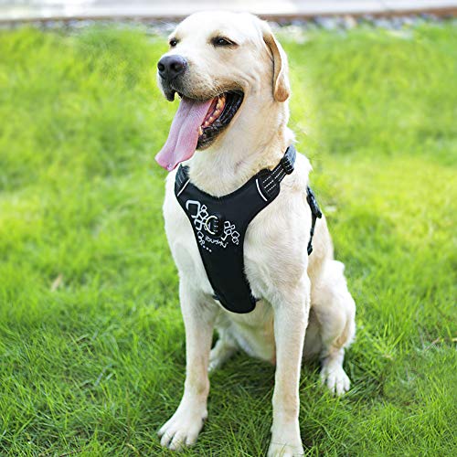 Product Cover iBuddy Dog Harness No Pull Vest Harnesses for Medium and Large Dogs with Handle and Front/Back Leash Attachments, Easy On and Off Reflective Adjustable Pet Harness Non Choke for Walking and Training