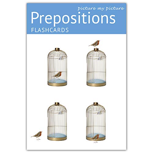 Product Cover Picture My Picture Prepositions Flash Cards | 40 Positional Language Development Educational Photo Cards | 5 Learning Games | Speech Therapy Materials, ESL Materials