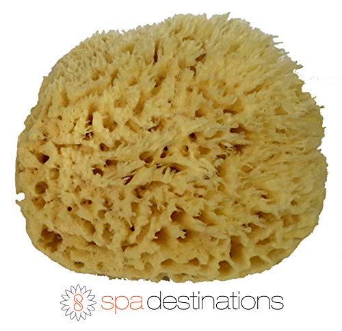 Product Cover Spa Destinations Natural Sea Wool Sponge 6-7