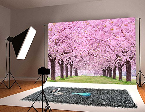 Product Cover GYA Cherry blossoms Street Studio Photography Backdrop Beautiful Flower Background Photo for Wedding Vinyl 7x5ft