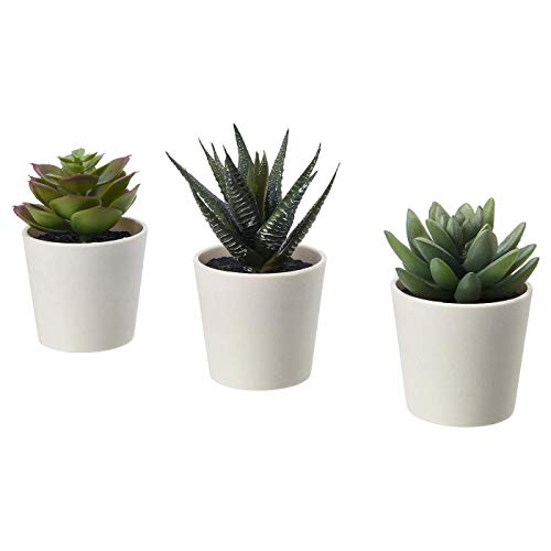 Product Cover Ikea KNALLA Artificial Potted Plant with Pot, in/Outdoor Succulent, 6 cm 3 Pack (2 Œ