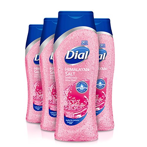 Product Cover Dial Body Wash, Himalayan Salt, 21 Ounce (Pack of 4)