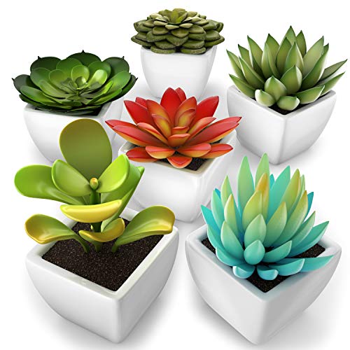 Product Cover kdelicate Artificial Succulent Assorted Decorative Faux Succulent Fake Plants with White Ceramic Pots -Pack of 6