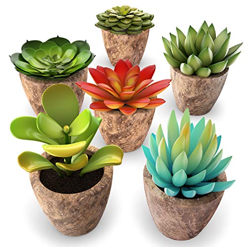 Product Cover Set of 6 Artificial Succulent Plants – Fake Plants with Grey Ceramic Planters for Decoration