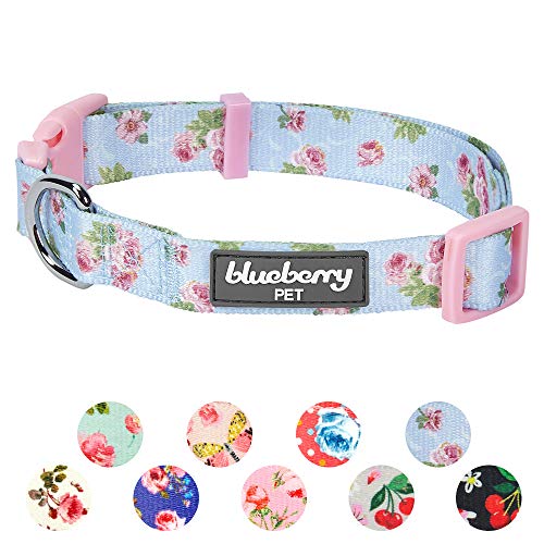 Product Cover Blueberry Pet 11 Patterns Spring Scent Inspired Rose Blossom Floral Print Pastel Blue Adjustable Dog Collar, Small, Neck 12