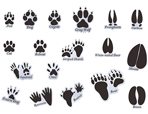 Product Cover Mozamy Creative Animal Tracks Wall Decals (18 Count) Animal Wall Decals Animal Tracks Wall Decor Boys Room Wall Decals Removable Peel and Stick Wall Decals, Black (Animal Tracks 1)