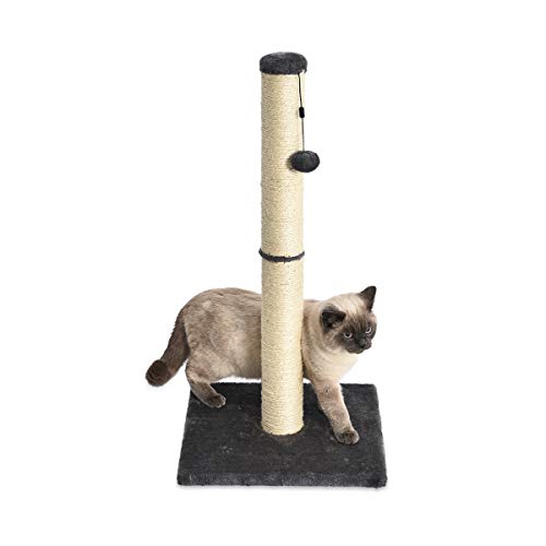 Product Cover AmazonBasics Medium Cat Scratching Post - 16 x 16 x 32 Inches, Gray