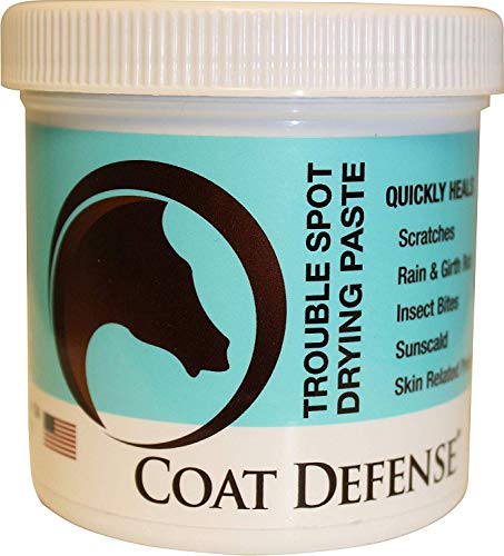 Product Cover COAT DEFENSE 793597086488 Trouble Spot Dry Paste 10oz