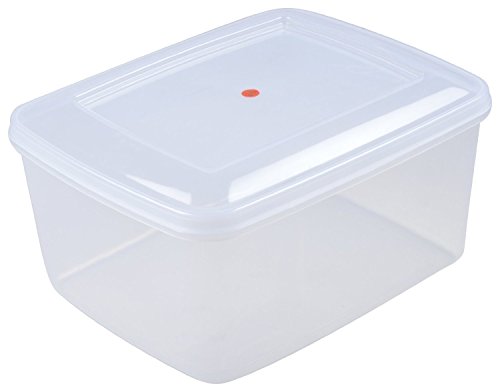 Product Cover Siva Naturals Plastic Container (10litre)