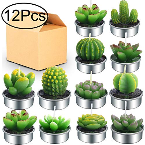 Product Cover Outee 12 Pcs Cactus Tealight Candles Handmade Delicate Succulent Cactus Candles Flameless Aromatherapy 12 Designs for Birthday Party Wedding Spa