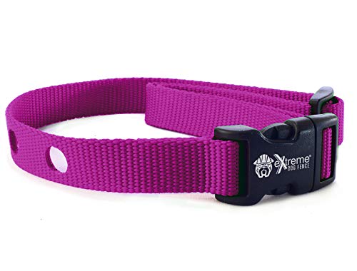 Product Cover Extreme Dog Fence Dog Collar Replacement Strap - Orchid - Compatible with Nearly All Brands and Models of Underground Dog Fences