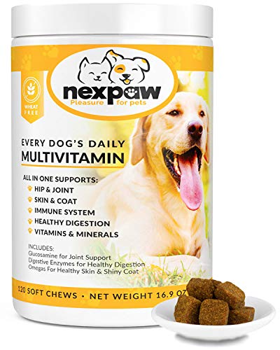 Product Cover Multivitamins for Dogs | Daily Dog Vitamins And Supplements for Joints, Immune System, Digestion, Skin & Coat | Wheat-Free Puppy & Senior Dog Health Supplement |120 Soft Chewable Vitamin for Dogs