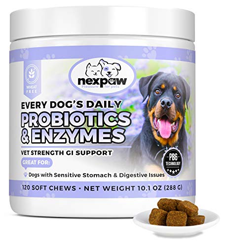 Product Cover NEXPAW Probiotics for Dog Digestive Health - Relief Diarrhea, Gas, Bloating, Constipation, Upset Stomach - Safe, Natural Canine Probiotic Gut Chewable Medicine 120 Wheat-Free Chews Dogs & Puppy Loves