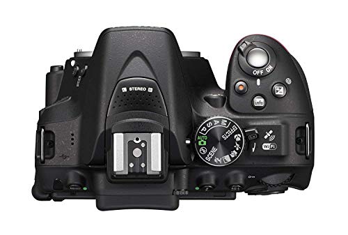 Product Cover Nikon D3500 DX-Format DSLR Two Lens Kit with AF-P DX NIKKOR 18-55mm f/3.5-5.6G VR & AF-P DX NIKKOR 70-300mm f/4.5-6.3G ED, Black