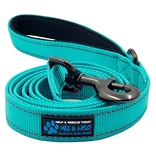 Product Cover Max and Neo Reflective Nylon Dog Leash - We Donate a Leash to a Dog Rescue for Every Leash Sold (Teal, 4x1)