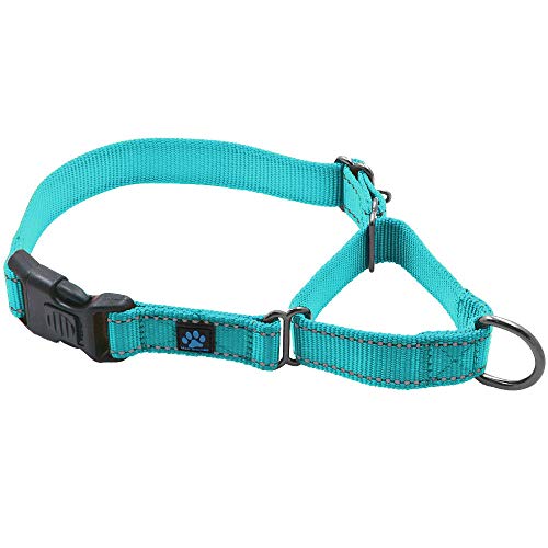 Product Cover Max and Neo Nylon Martingale Collar - We Donate a Collar to a Dog Rescue for Every Collar Sold (Large, Teal)