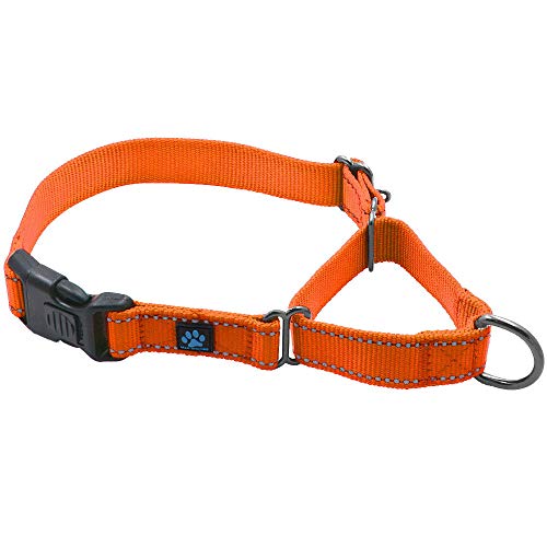 Product Cover Max and Neo Nylon Martingale Collar - We Donate a Collar to a Dog Rescue for Every Collar Sold (Medium/Large, Orange)