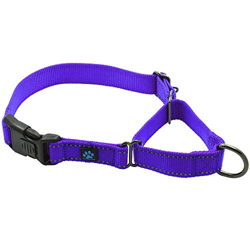 Product Cover Max and Neo Nylon Martingale Collar - We Donate a Collar to a Dog Rescue for Every Collar Sold (Medium/Large, Purple)