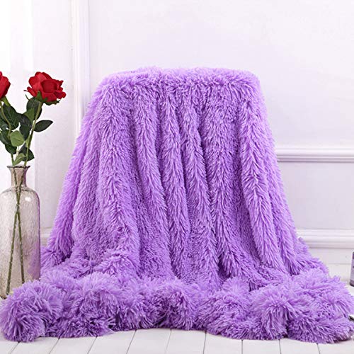 Product Cover Sleepwish Girls Fluffy Purple Blanket - Decorative Sofa, Couch and Floor Throw - Warm, Cozy, Super Soft Bed or Car Cover - Long Shaggy Hair, Faux Fur, Microfiber Polyester Material - 63 x 79 Inches
