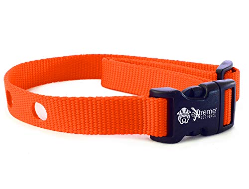 Product Cover Extreme Dog Fence Dog Collar Replacement Strap - Bright Orange - Compatible with Nearly All Brands and Models of Underground Dog Fences